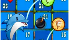 Dolphin Dice Race