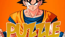 Dragonball Puzzles