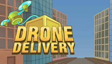 Drone Delivery