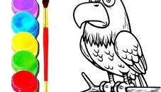 Eagle Coloring Book