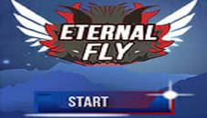 Eternal Fly