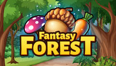 Fantasy Forest Puzzle