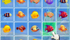 Fishing Puzzles