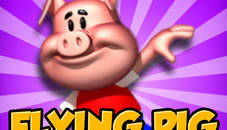 Flying Pig