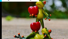 Frog's Love Pair Jigsaw