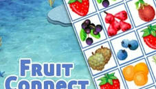 fruits connect