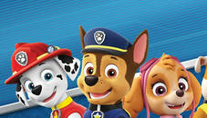 Fun Paw Patrol Jigsaw