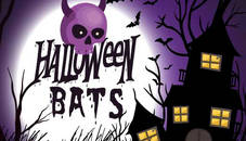 Halloween Bats