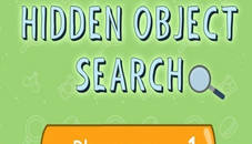 Hidden Object Search