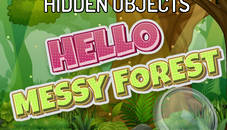 Hidden Objects Hello Messy Forest