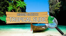 Hidden Objects Tropical Slide