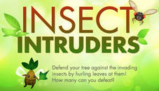 Insect Intruders