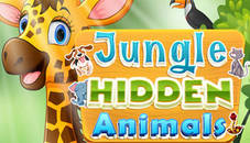 Jungle Hidden Animals