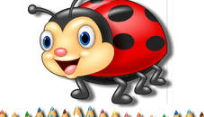 Ladybug Coloring Book