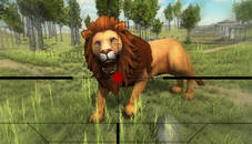 Lion Hunting 3D