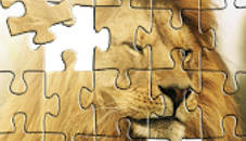 Lion King Jigsaw