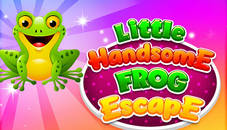 Little Handsome Frog Escape