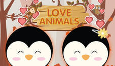 Love Animals