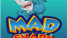 MAD Shark 2021