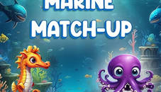 Marine Match Up