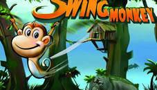 Monkey Swing