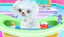 My New Poodle Friend - Pet Care Game