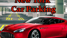 New York Car Parking