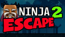 Ninja Escape 2