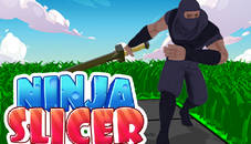 Ninja Slicer