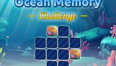 Ocean Memory Challenge