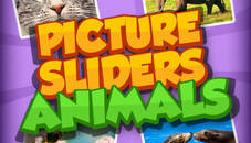 Picture Slider Animals