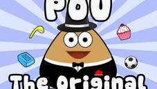 Pou pet