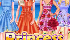 Princess Holiday Choice