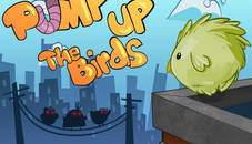 Pump up the birds