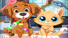 Puppy Pet Vet Care