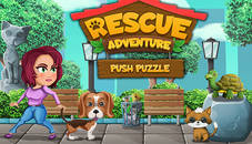 Push Puzzle Rescue Adventure