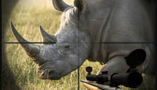 Rhino Hunter Shooting Strike