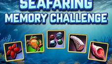 Seafaring Memory  Challenge