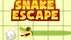 Snake Escape