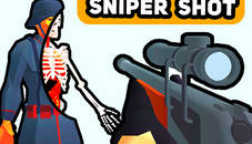 Sniper Shot: Bullet Time