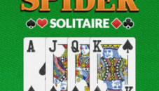 Spider Solitaire Pro