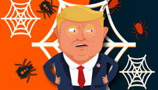 Spider Trump