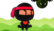 Super Adventure Ninja