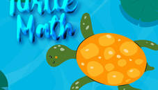 Turtle Math