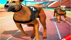 Ultimate Dog Racing Game 2020