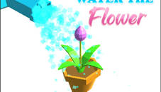 Water the Flower