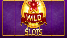 Wild Slot