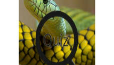 Wildlife Animal Trivia:Test Your Knowledge!